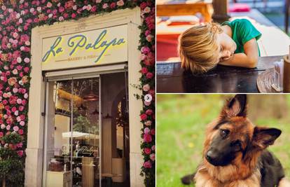 Restoran u Rimu zabranio ulaz djeci i psima: 'Kvare atmosferu'