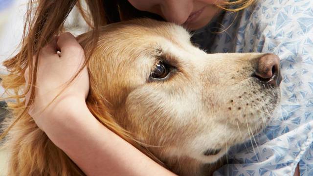Imati psa je dobro za zdravlje: Izdržljiviji ste, imate jače srce