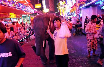 Mladić šeće svog slona po ulici kako bi ga prehranio