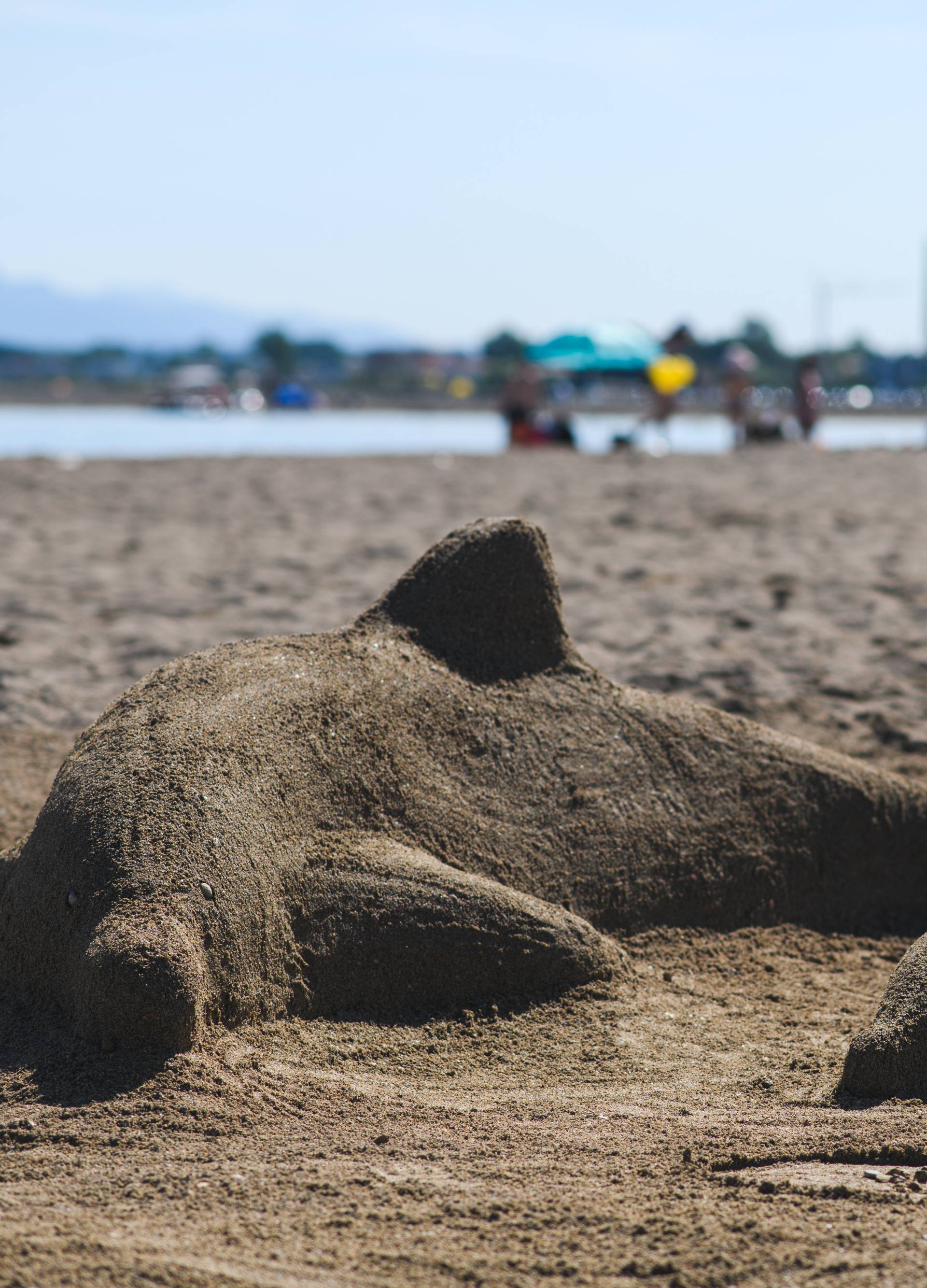 Prekrasne skulpture od pijeska uljepšale poznate plaže u Ninu