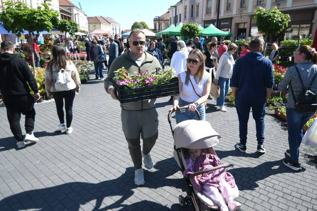 Najveći sajam cvijeća u Podravini privakao pažnju mnogobrojnih ljubitelja flore