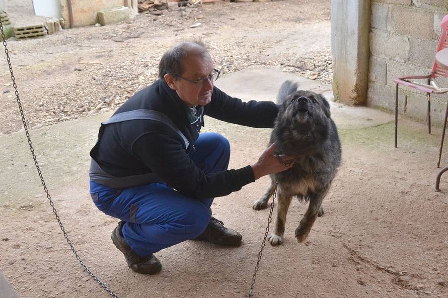 Dusko Marusic/PIXSELL