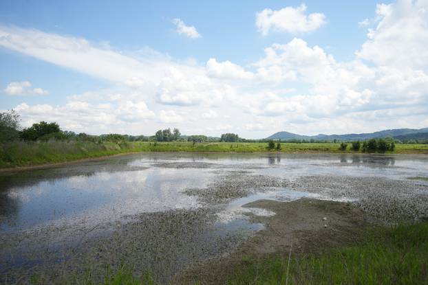 Reportaža iz sela u Srbiji koje leži na 200 milijardi dolara rudnog blaga