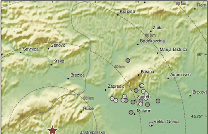 Potres jačine od 2,9 zatresao Krško, osjetio se i u Zagrebu