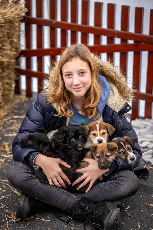 I psići vole advent: Preslatke fotke štenaca koji traže dom