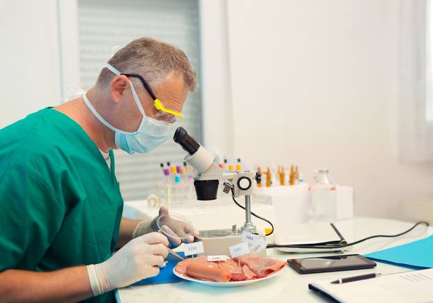 Laboratory testing of cured meat products, selective focus