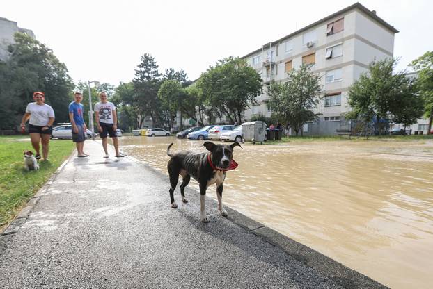 Zagreb: U Gajnicama pukla cijev, poplavila cijelu ulicu