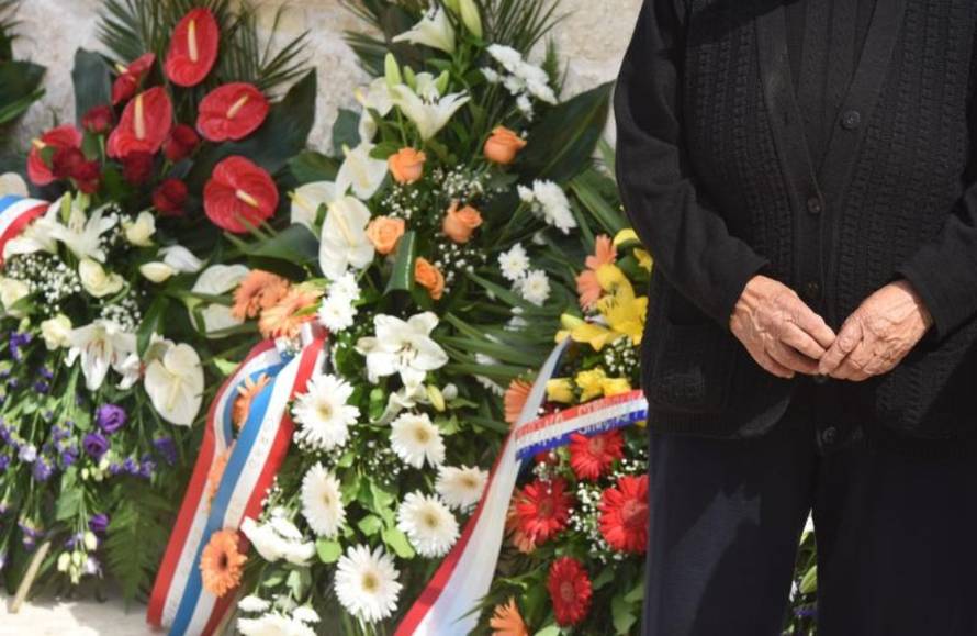 Hrvoje Jelavić/PIXSELL