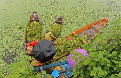 Fotografije dana najboljih svjetskih fotoagencija