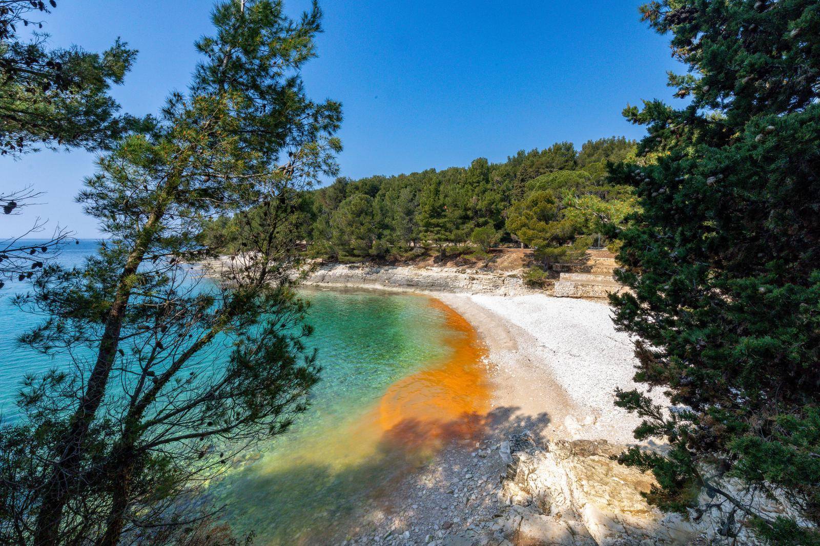 Cvjetanje mora na pojedinim pulskim plažama