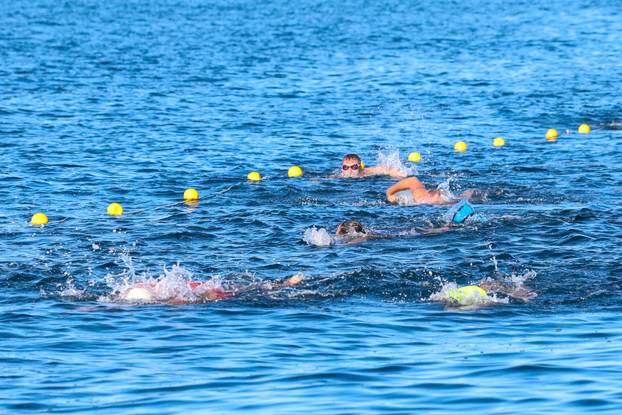 Održana plivačka manifestacija Porečki delfin