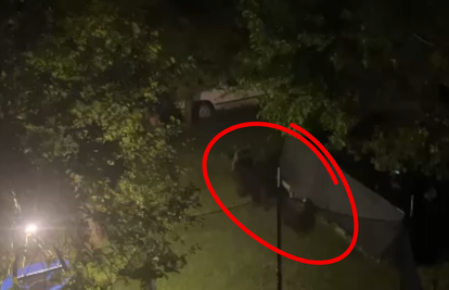 Snimka s Plitvičkih jezera: Halo, policija! Medo nam je u dvorištu