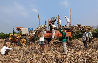 Indija će zabraniti izvoz šećera, cijene na tržištima rastu