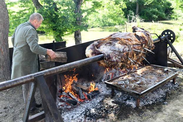 Grubišno Polje: Pečeni vol spreman za na izletištu Bara povodom Dana državnosti