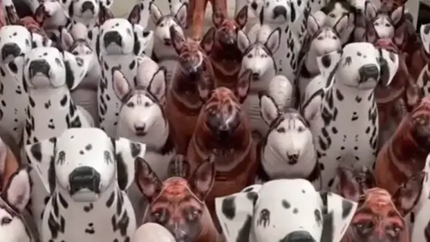 Najluđe mozgalice i optičke varke: Mozak vam kaže jedno, oči drugo. Kome ćete vjerovati?