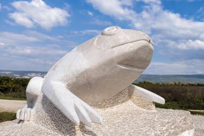 U Zmijavcima otkriven spomenik žabi