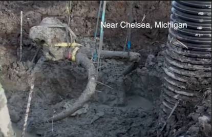 Našli mamuta starog 10.000 godina: Ubio ga je pračovjek?