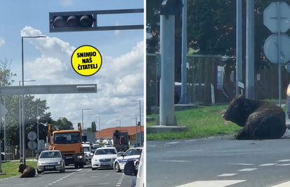 FOTO Tele čovjeku ispalo iz vozila u Ivanić Gradu: 'Ležalo je na cesti nasred raskrižja'