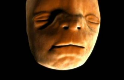 Pogledajte video kako nastaje ljudsko lice u majčinoj utrobi