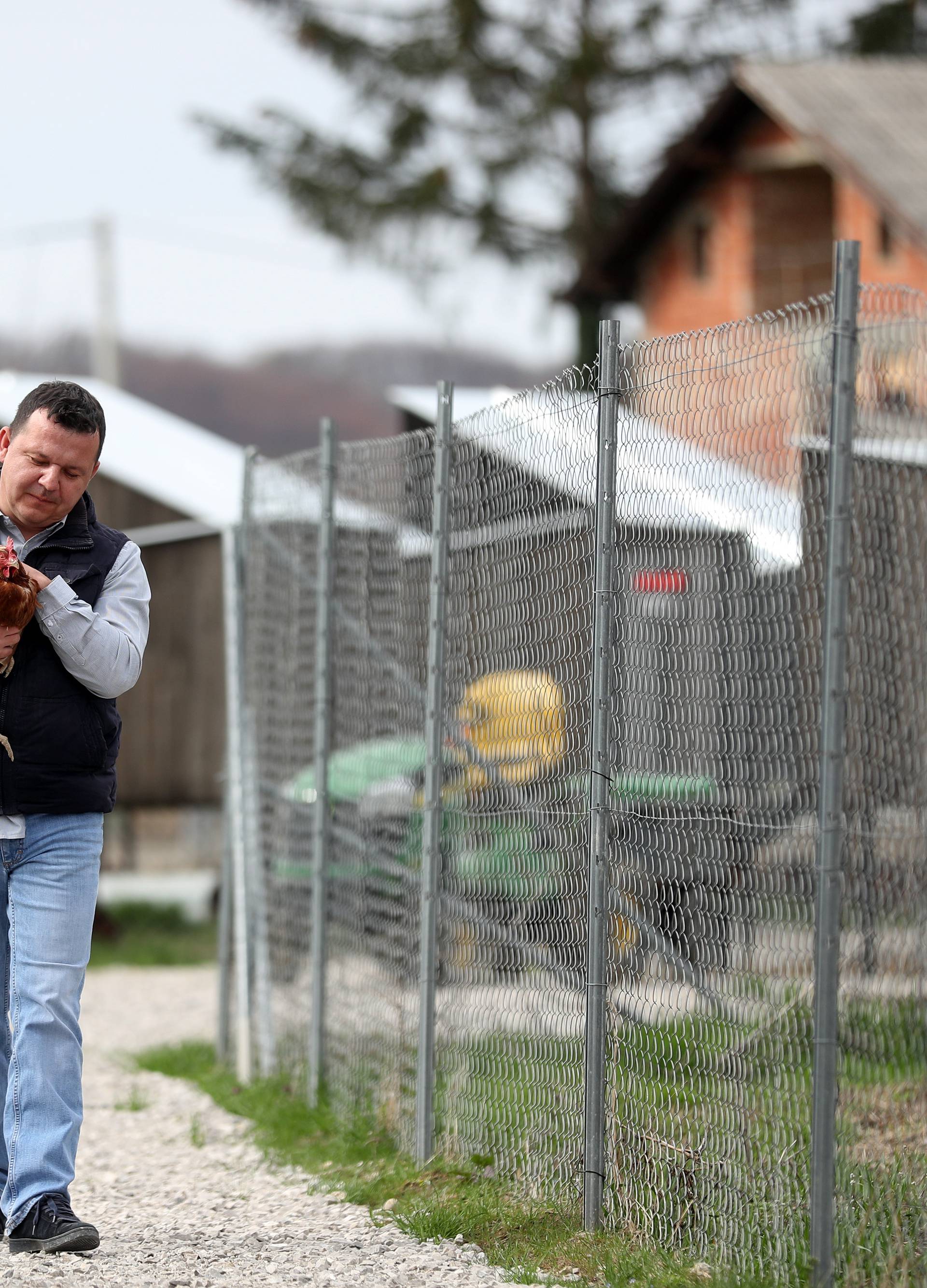 Kokošvaroš: Kod Željka kokice na dan snesu do 300 eko jaja!