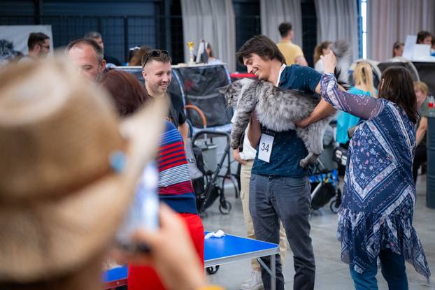 Zagreb: Drugi dan Međunarodne izložbe mačaka