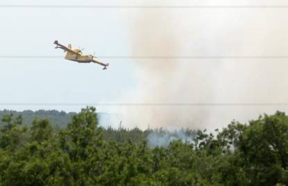 Počela je sezona požara: Izgorjela šuma blizu Nina