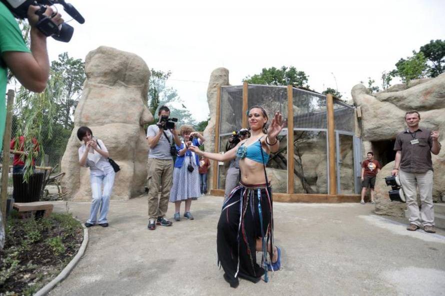 Petar Glebov / PIXSELL