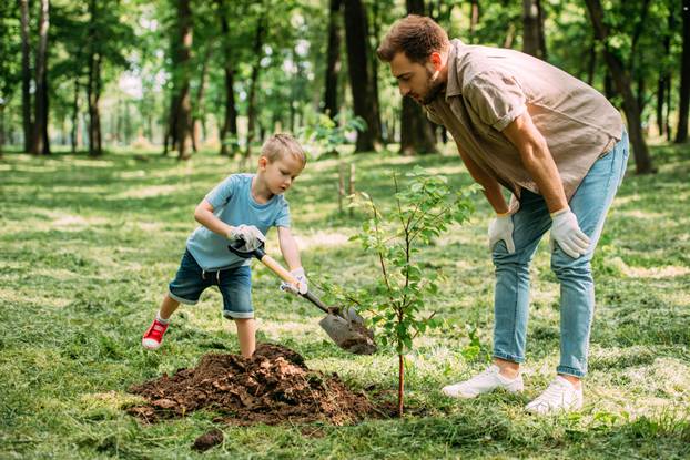 Father,Looking,How,Son,Planting,Tree,At,Park