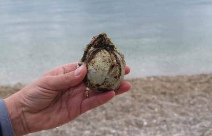Korčula: Našli eksploziv u moru gdje love krivolovci