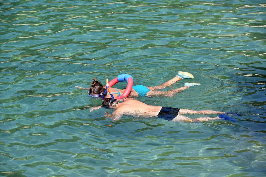 Invazija na Istru:  Nakon kitova, kupače su prestrašile meduze