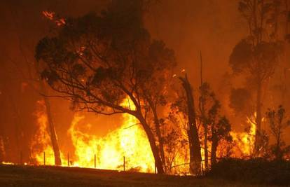 Australija: Sa 120 požara bori se 2000 vatrogasaca