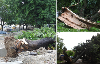Strašno nevrijeme poharalo i Koprivnicu: Vjetar čupao i lomio stabla, nastala ogromna šteta
