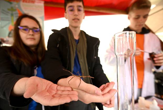 Zagreb: Na Zrinjevcu organizirana manifestacija "Dojdi osmaš, Zagreb te zove!"