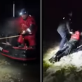 VIDEO HGSS i policija spasili iz vode migrante kod Okučana: Koristili su užad, čamce...