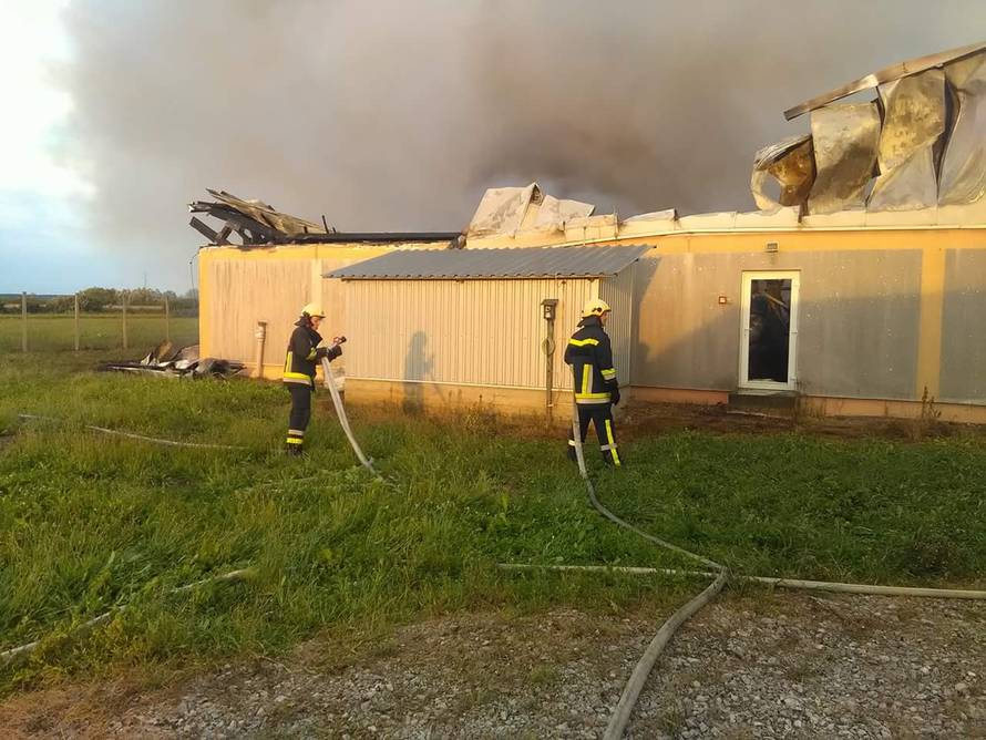 Zaposleni na vrijeme napustili farmu, izgorjelo puno životinja