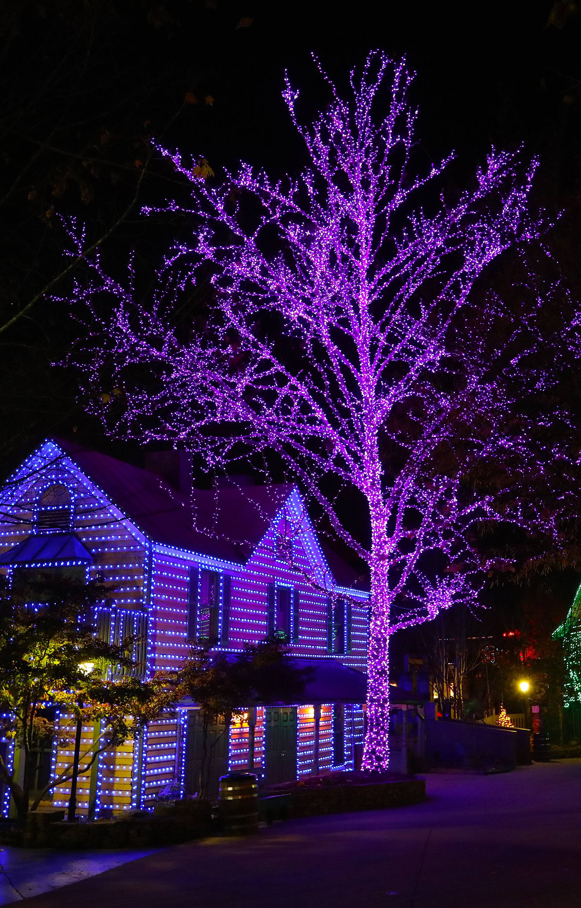 Dolly Parton's Parade of Many Colors and Dollywood's Smoky Mountain Christmas Celebration - Tennessee