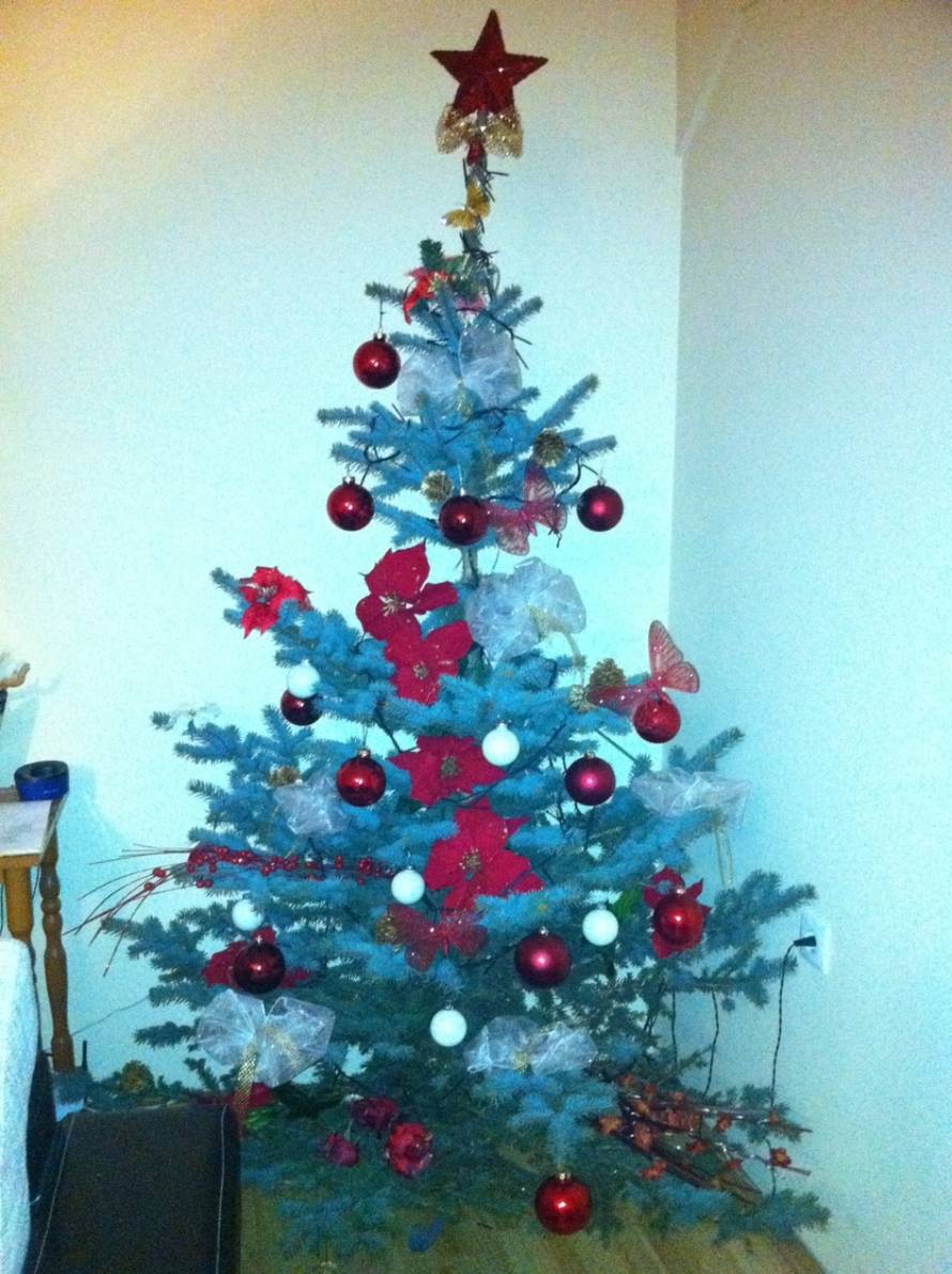 Šaljite fotografije božićnih jelki i osvojite vrijednu nagradu...