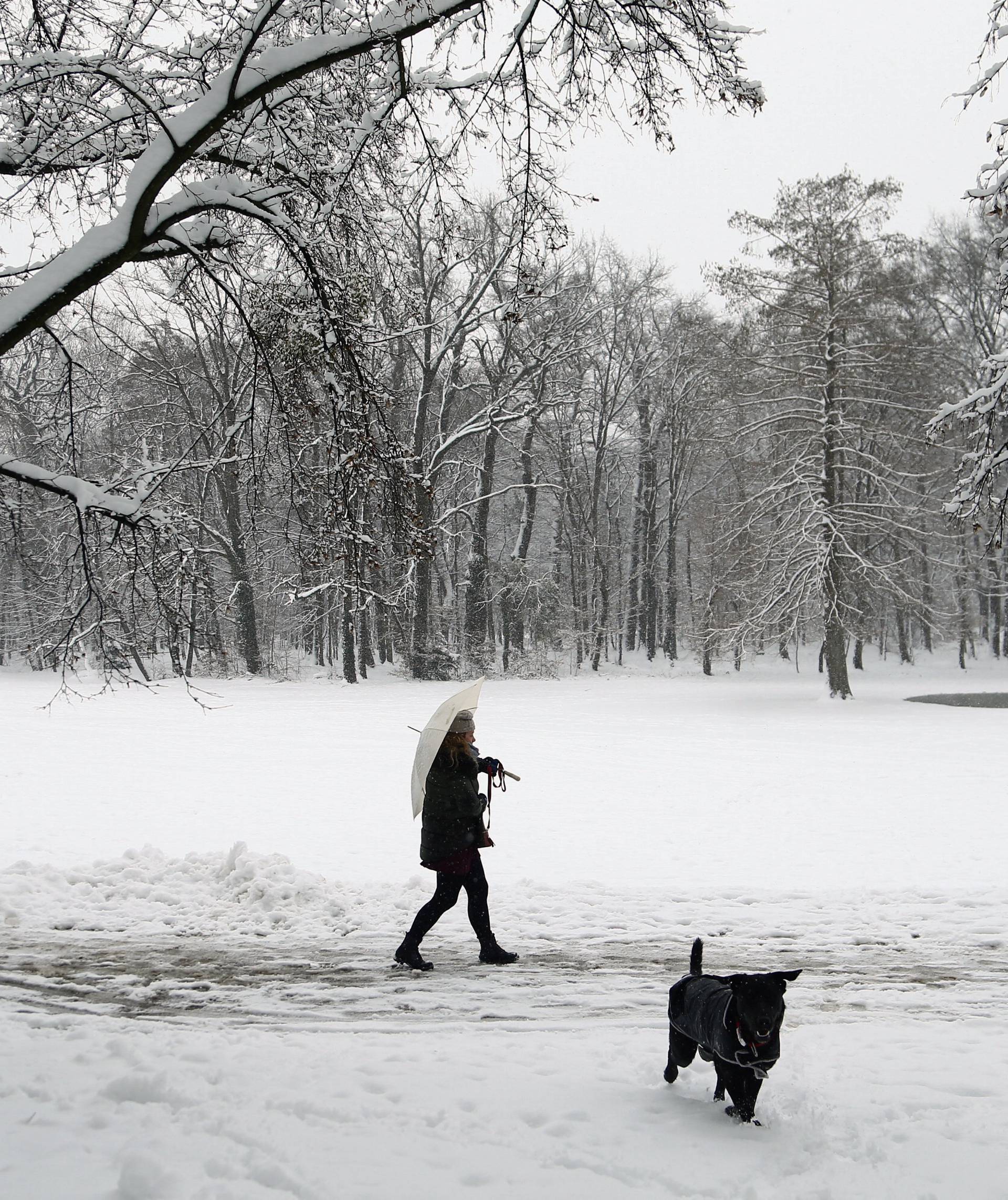 A woman walks with a dog under the falling snow in Zagreb's park Maksimir