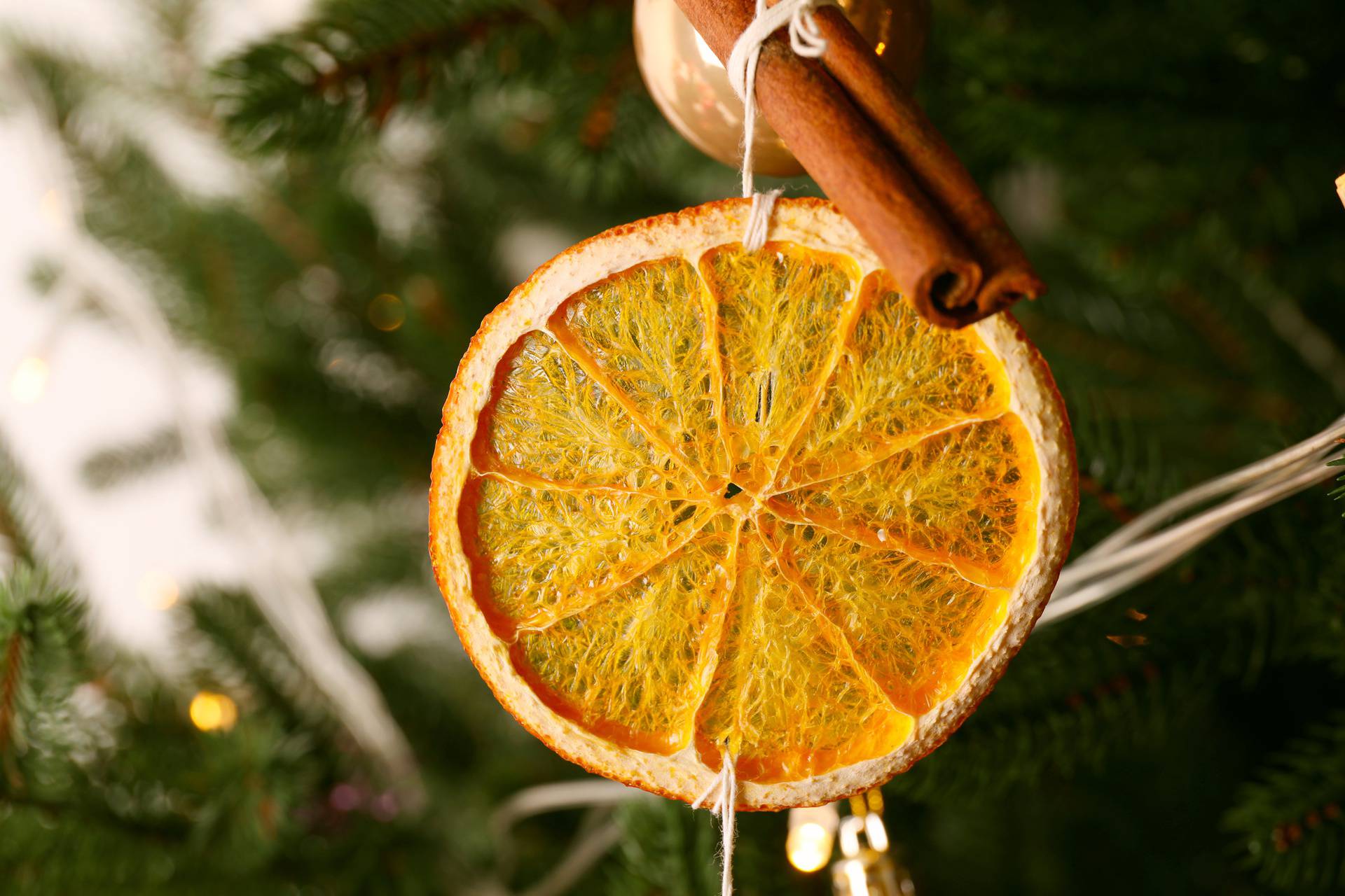 Napravite blagdanske ukrase od citrusa i papira sa djecom