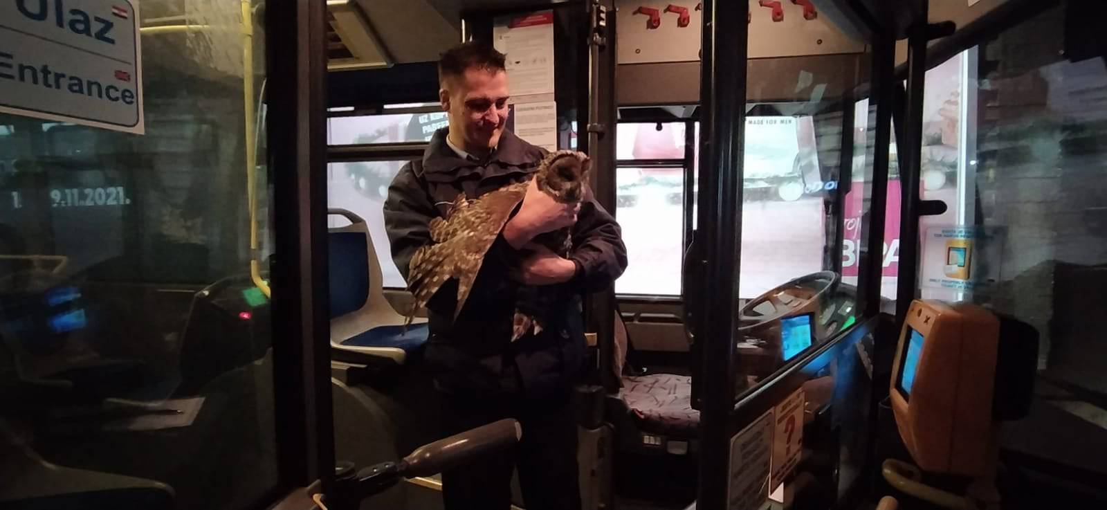 Vozač ZET-ova autobusa spasio ozlijeđenu sovu: 'Trebat će je operirati kako bi mogla letjeti'