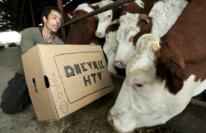 Usvoje li novi zakon i krave će moći gledati HTV u svojoj štali
