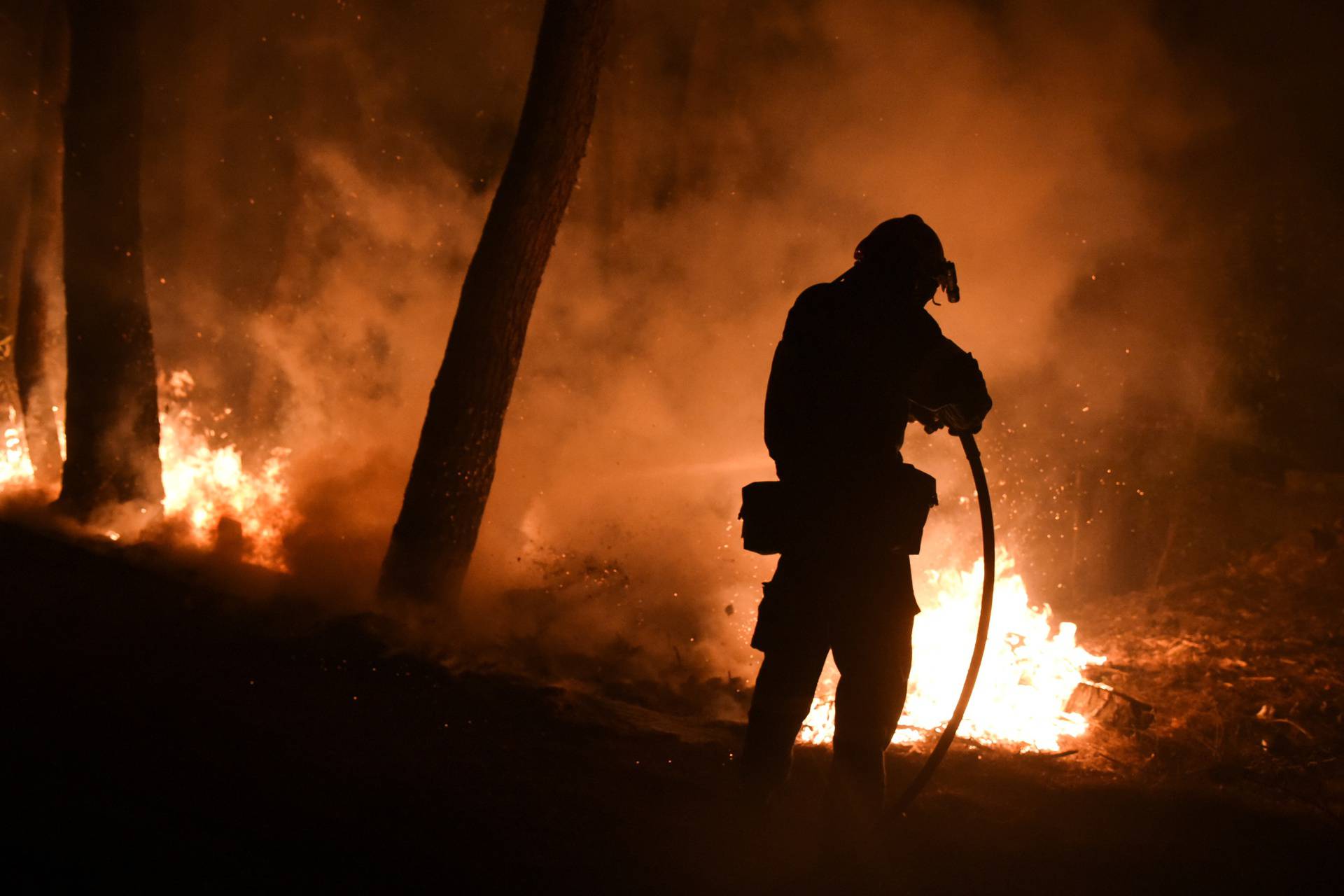 Wildfires rage in north of Athens