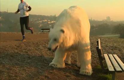 Šok u Londonu: Centrom grada prošetao polarni medvjed