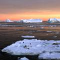 Dramatično topljenje leda na Antarktici nije tako vjerojatno