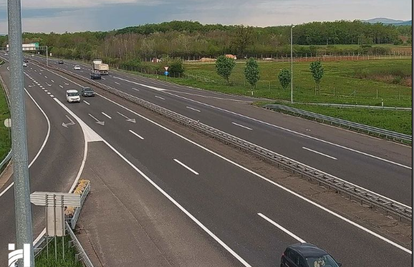 HAK: Vozači oprez, srna na A1, između Lučkog i Donje Zdenčine