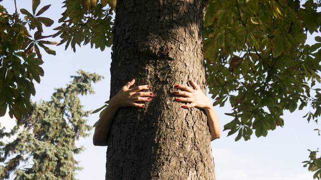 hands hugging a tree