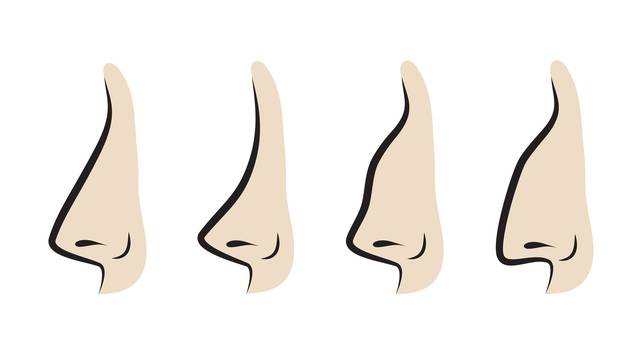 Vector illustration of noses