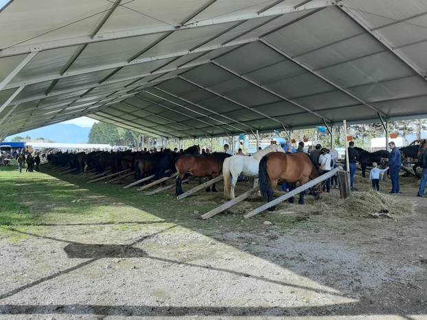 Veselo u srcu Like: Od slanine, finih ličkih palačinki i rakije do revije konjskih zaprega