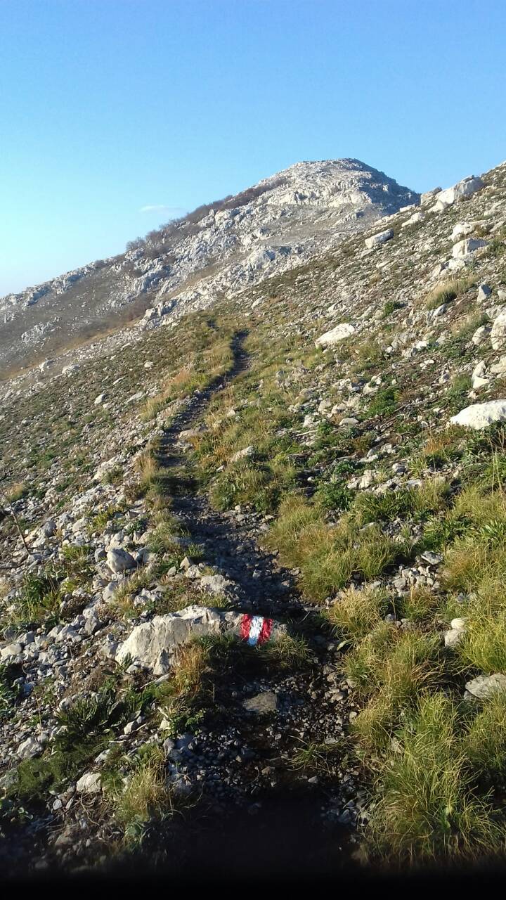 A da ostanem tu i umrem? Leš neka ostave u šumi, da ne tegle