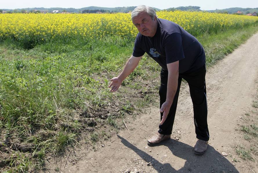 Marijan Sušenj/PIXSELL